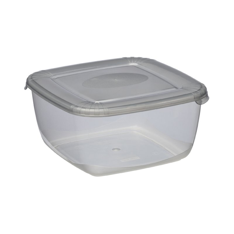Plast Team Boîte congélation plastique, bleu, 2,5 litres, carré
